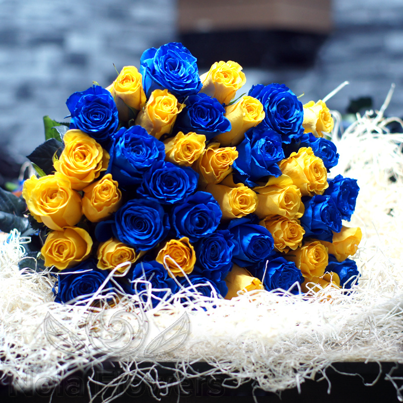 51 желтая и синяя роза (Эквадор)