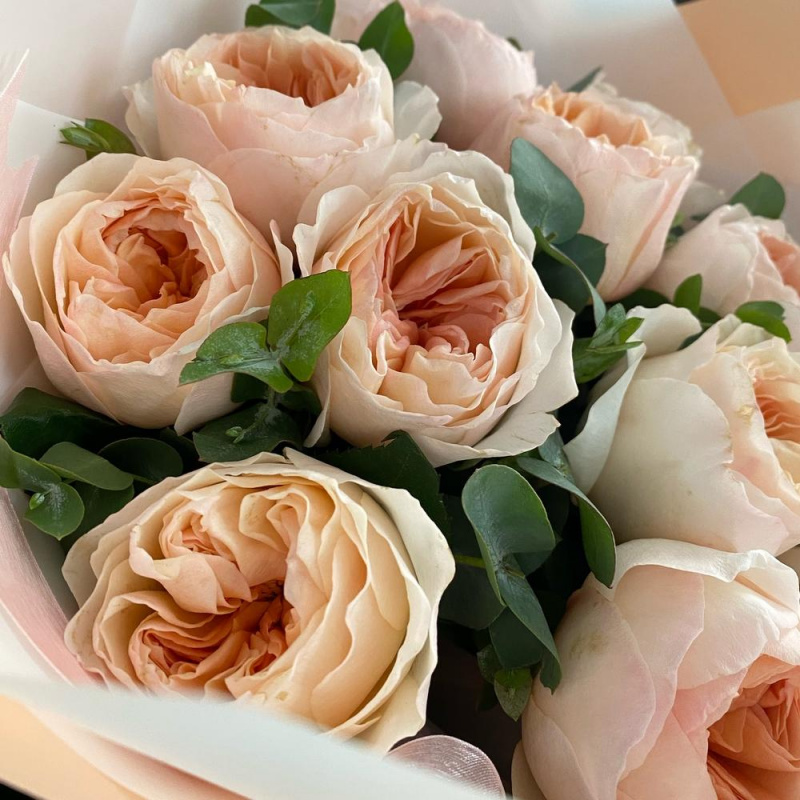 11 пионовидных роз Джульетта Дэвида Остина