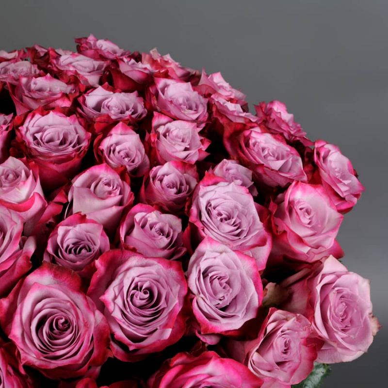 51 фиолетовая роза (Эквадор)