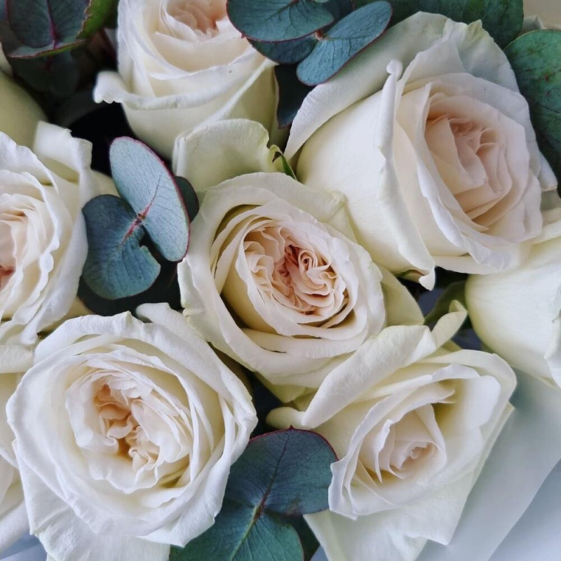 21 белых пионовидных роз О