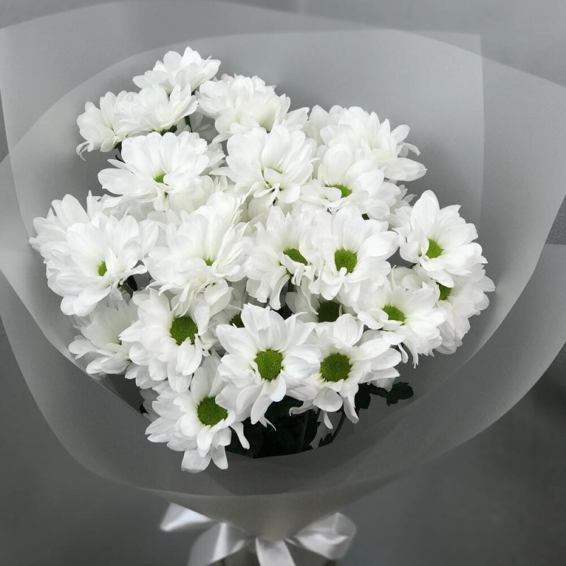 5 белых хризантем