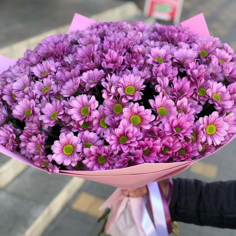 15 фиолетовых хризантем