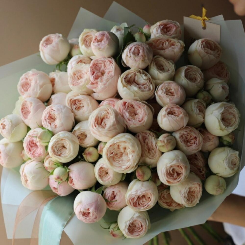 25 кустовых пионовидных роз