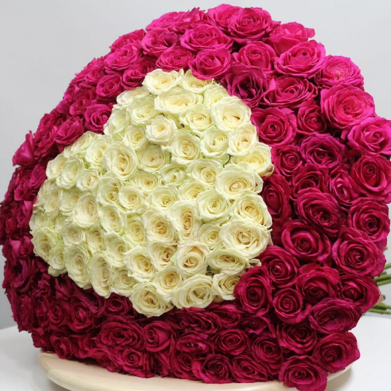 151 роза белое сердце (Эквадор)