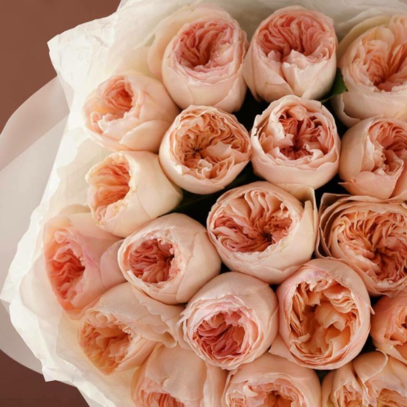 35 пионовидных роз Джульетта