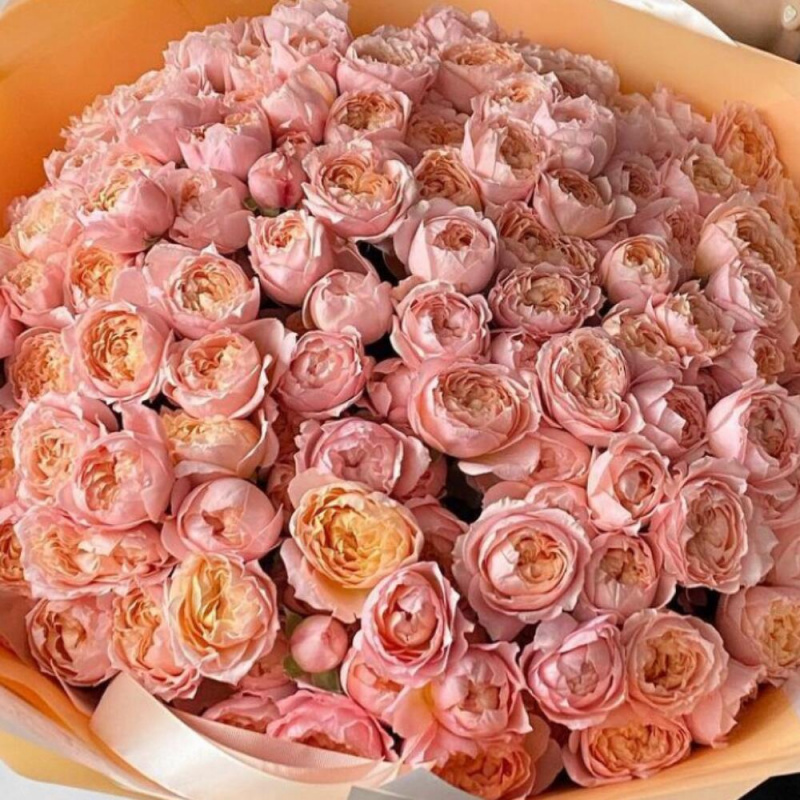 49 кустовых пионовидных роз Джульетта