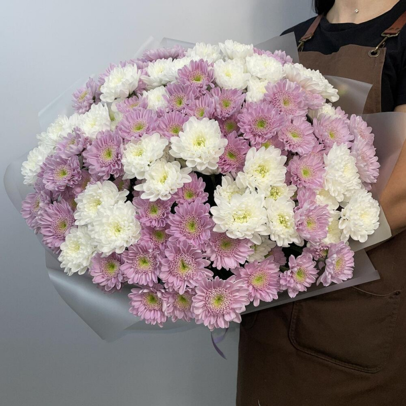 25 белых и фиолетовых хризантем