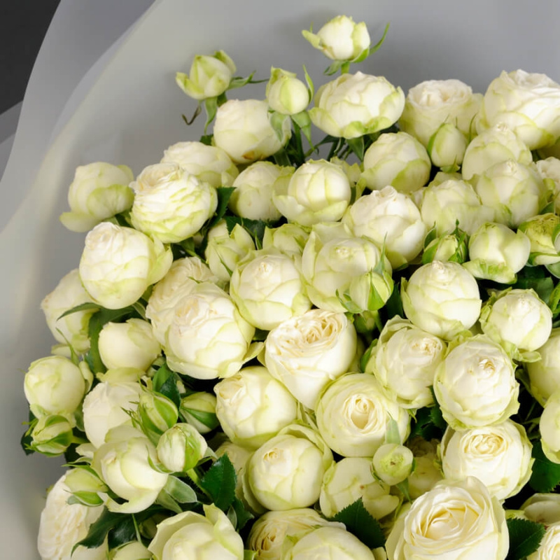 Букет из 15 белых пионовидных кустовых роз