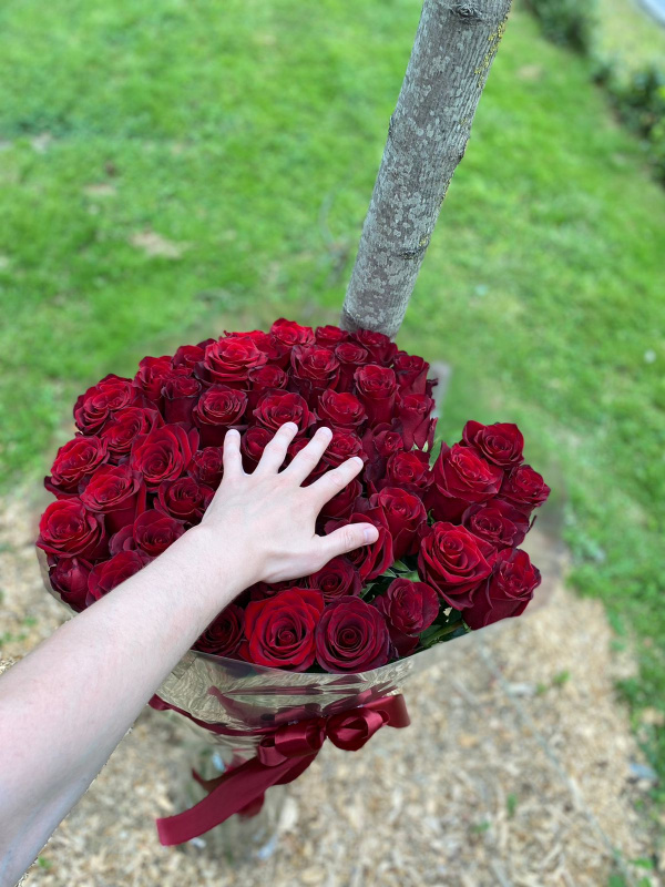 51 гигантская красная роза