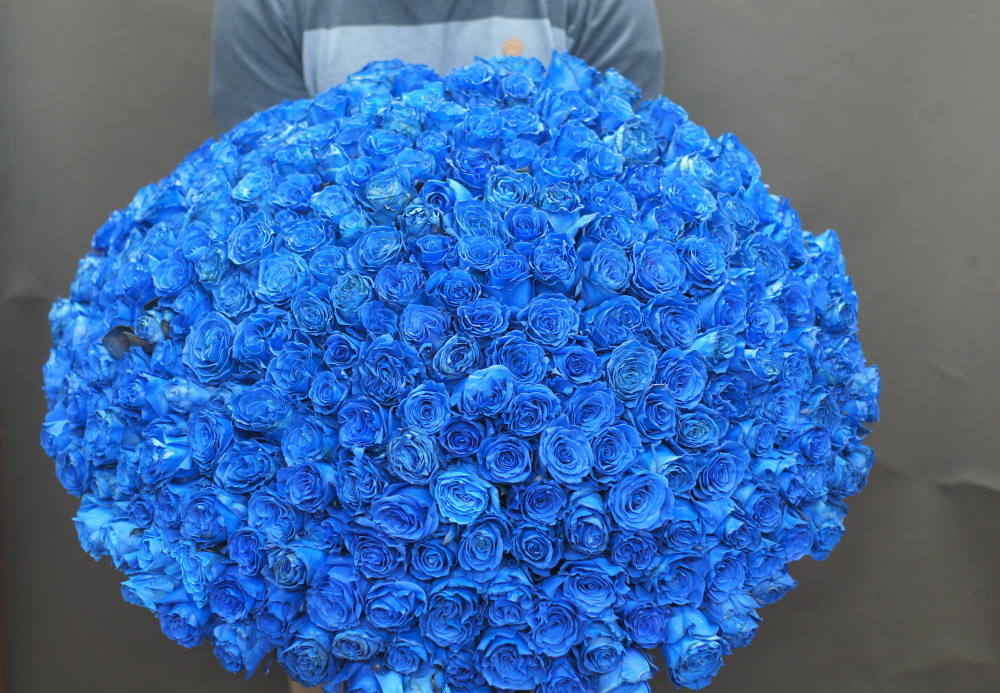 251 синяя роза
