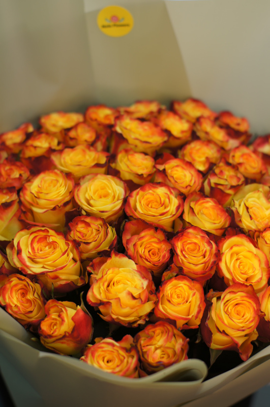 75 огненных роз (Эквадор)