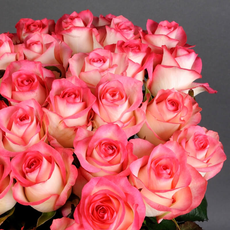 35 розовых роз Джумилия