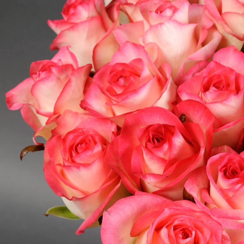35 розовых роз Джумилия