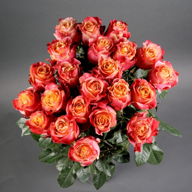 25 роз Кахала (Эквадор)