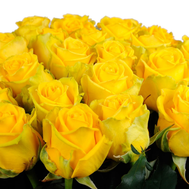35 желтых роз