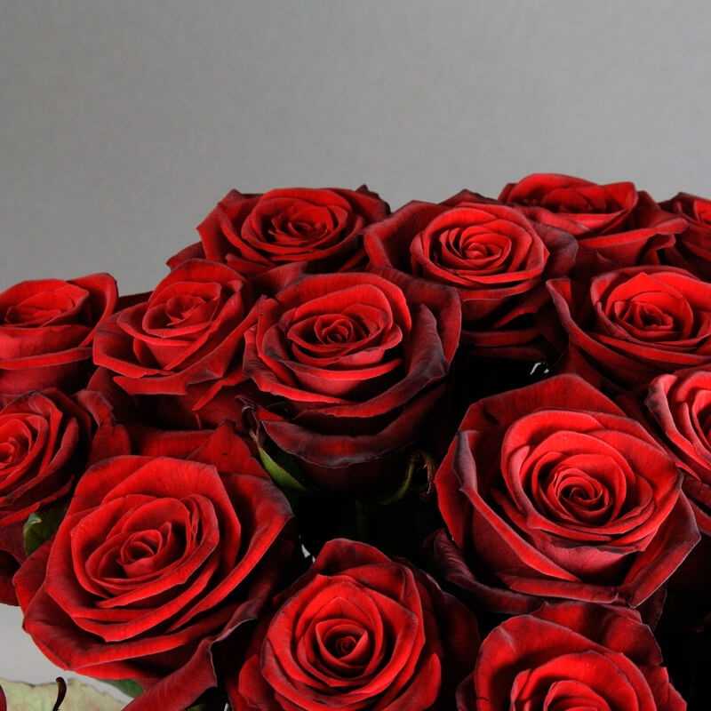 35 красных роз