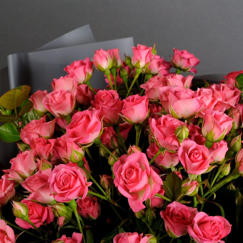 Букет из 15 розовых кустовых роз