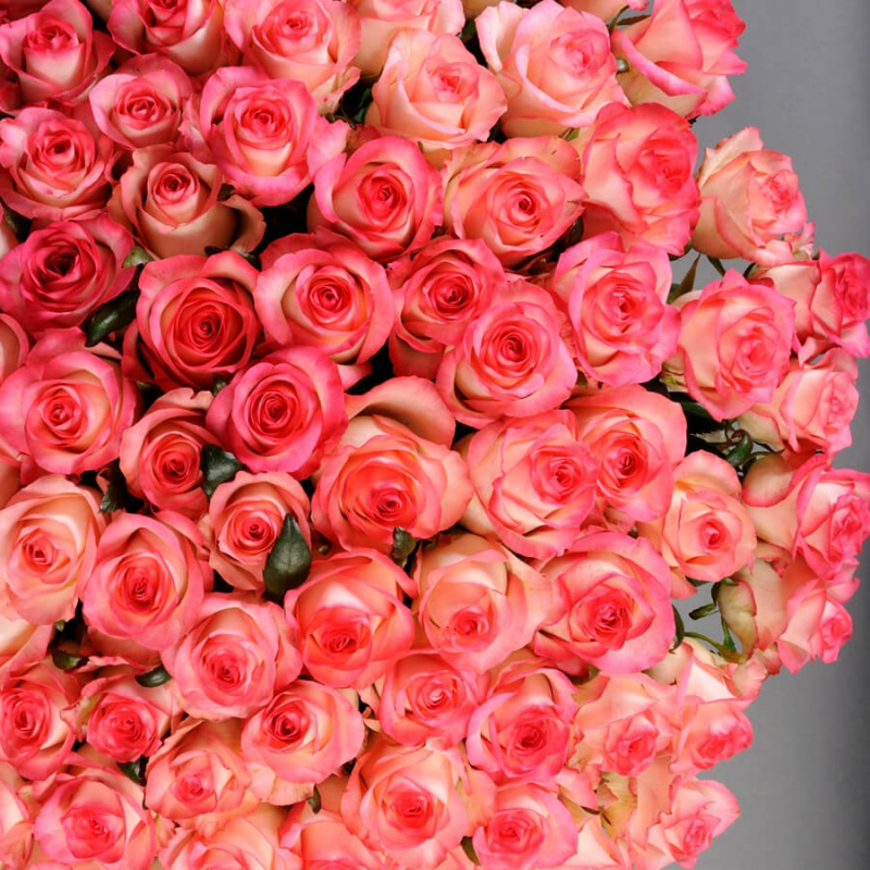 125 розовых роз Джумилия