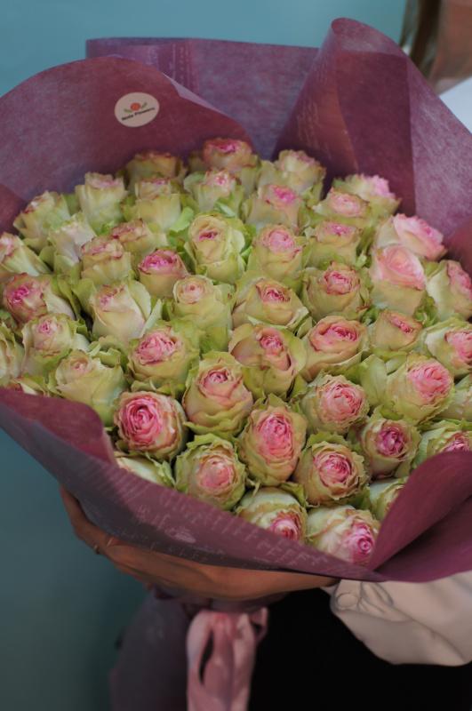 51 розово-белых роз (Эквадор)