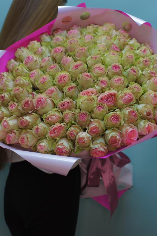 101 розово-белая роза (Эквадор)