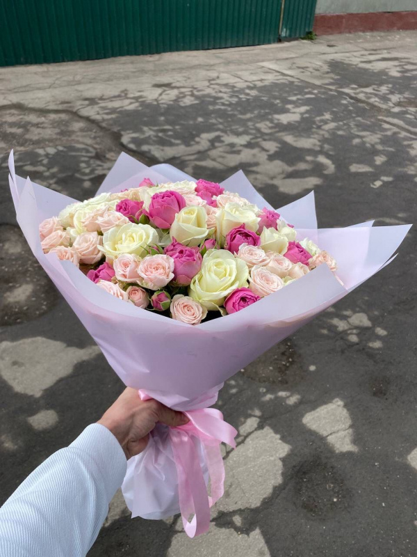 Бисквит
