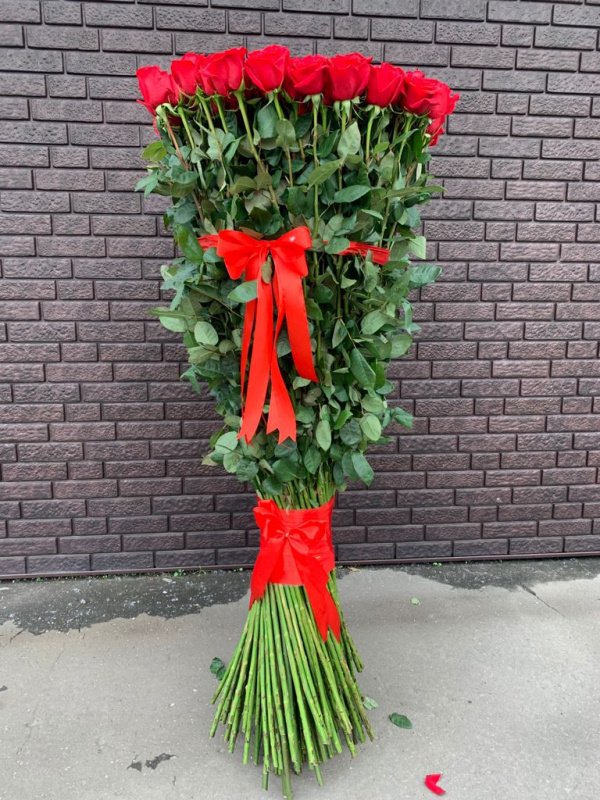 17 гигантских красных роз
