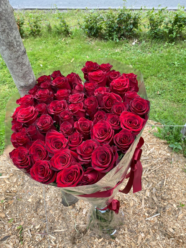 51 гигантская красная роза