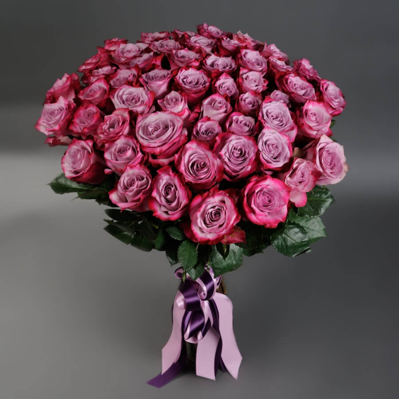 51 фиолетовая роза (Эквадор)