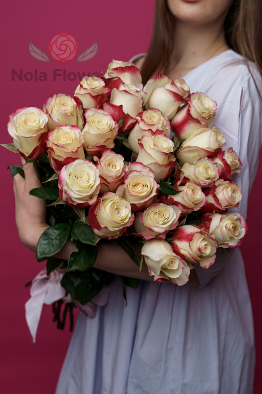 25 розово-белых роз (Эквадор)