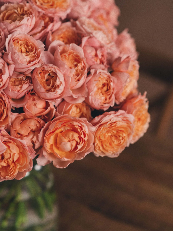 Букет из 19 пионовидных кустовых роз Джульетта