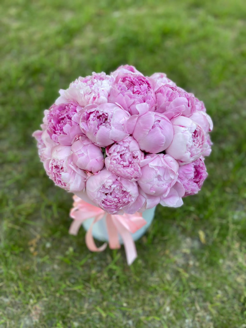 25 пионов Сара Бернар в коробке