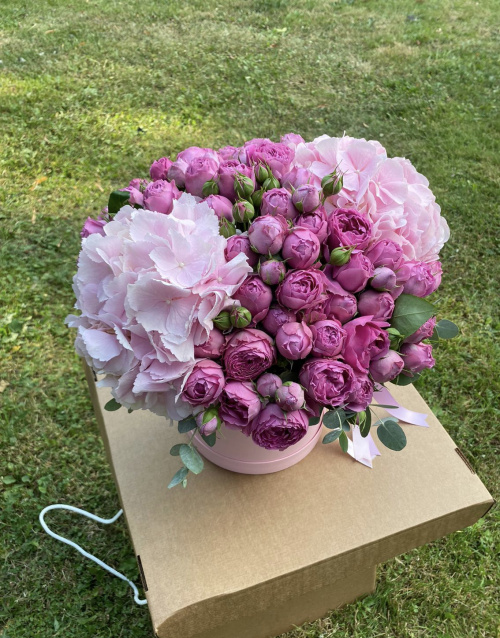 Коробка Мисти Баблс с гортензиями