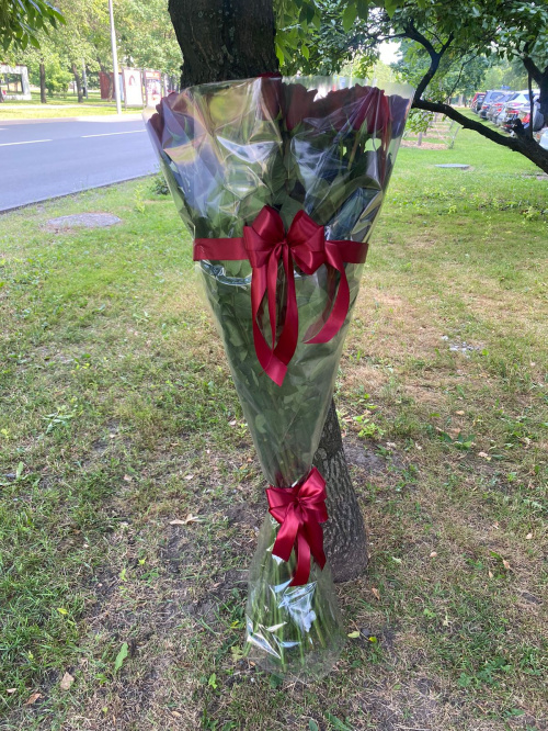 51 гигантская красная роза