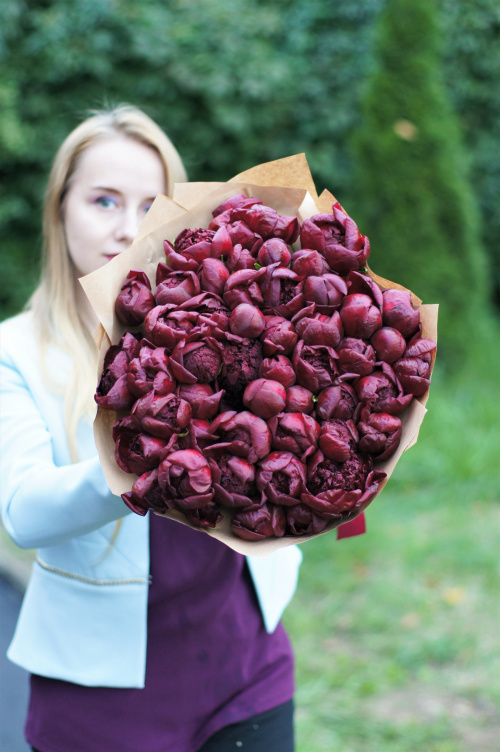 51 красный пион