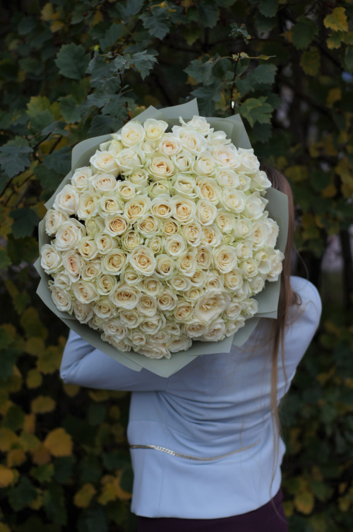 101 белая роза