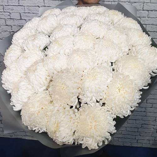 35 белых хризантем