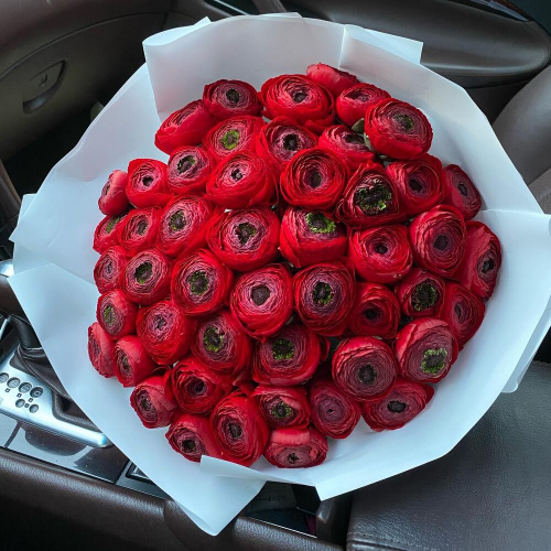 51 красный ранункулюс