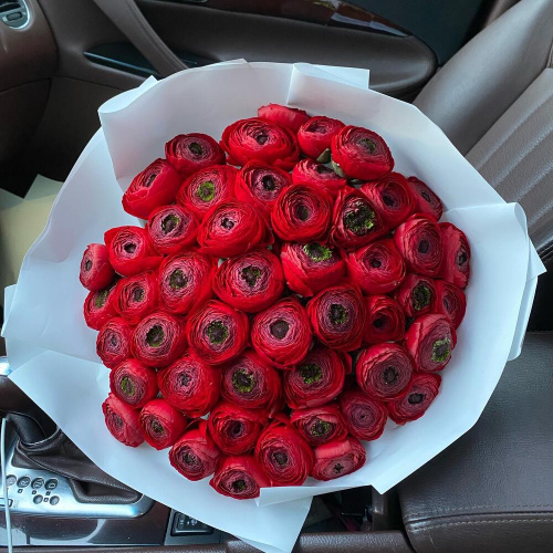 51 красный ранункулюс