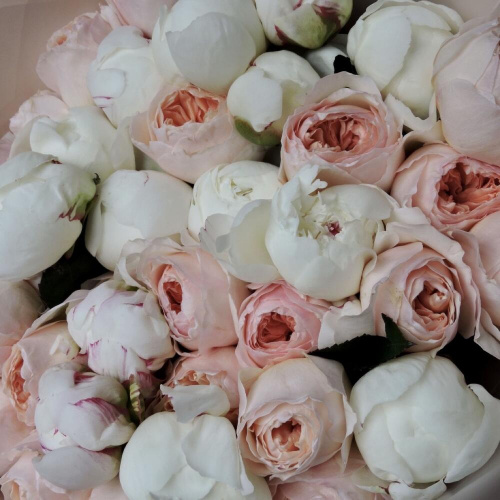 Букет пионовидных роз Джульетта и пионов