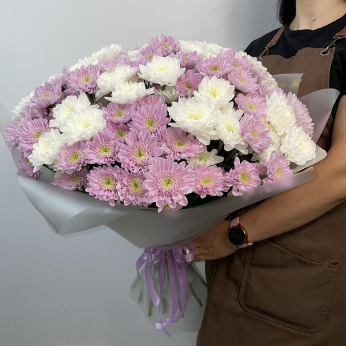 25 белых и фиолетовых хризантем