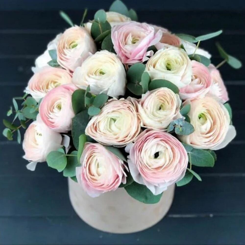 19 ранункулюсов в шляпной коробке