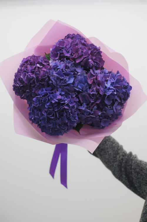 Букет фиолетовых гортензий