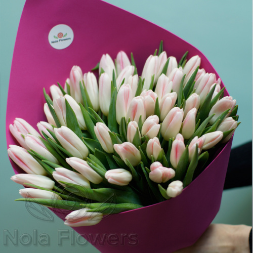 51 розовый тюльпан