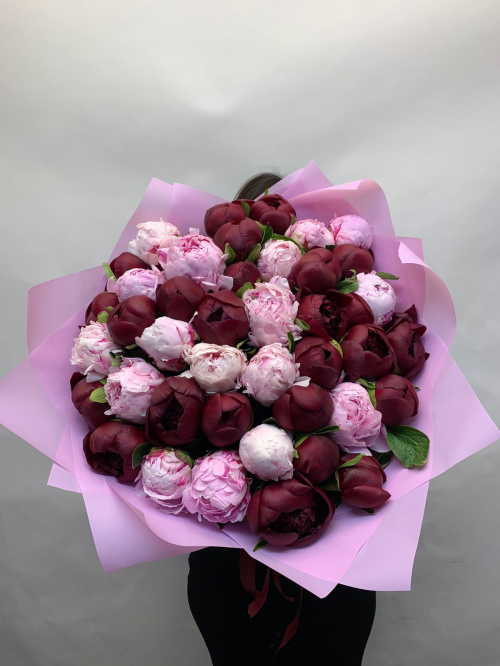 51 розовый и бордовый пион