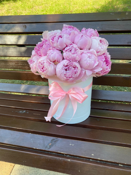 25 пионов Сара Бернар в коробке