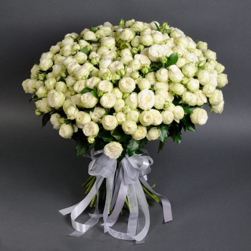 51 белоснежная кустовая роза