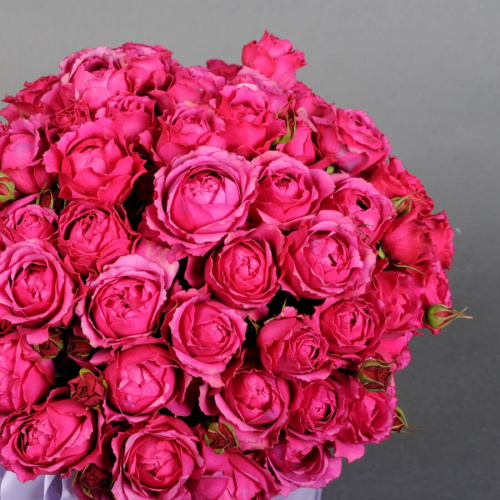 Кустовые розы Рич Баблс в коробке