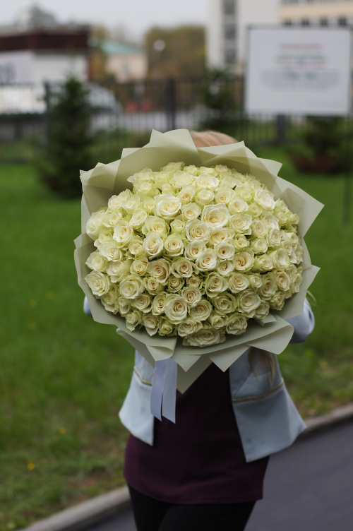 101 белая роза (Кения)