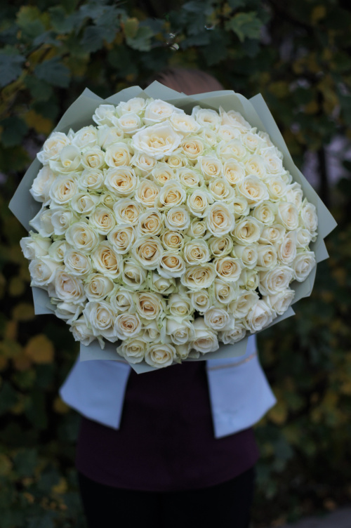101 белая роза