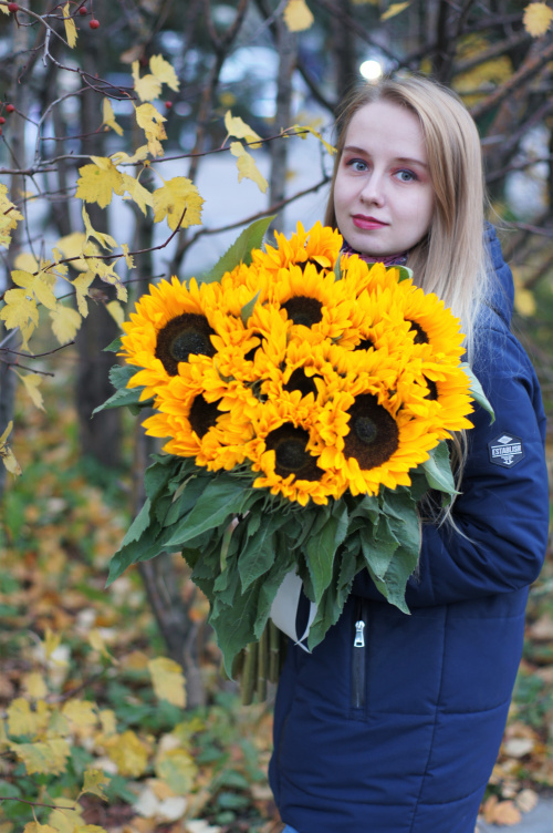 13 подсолнухов